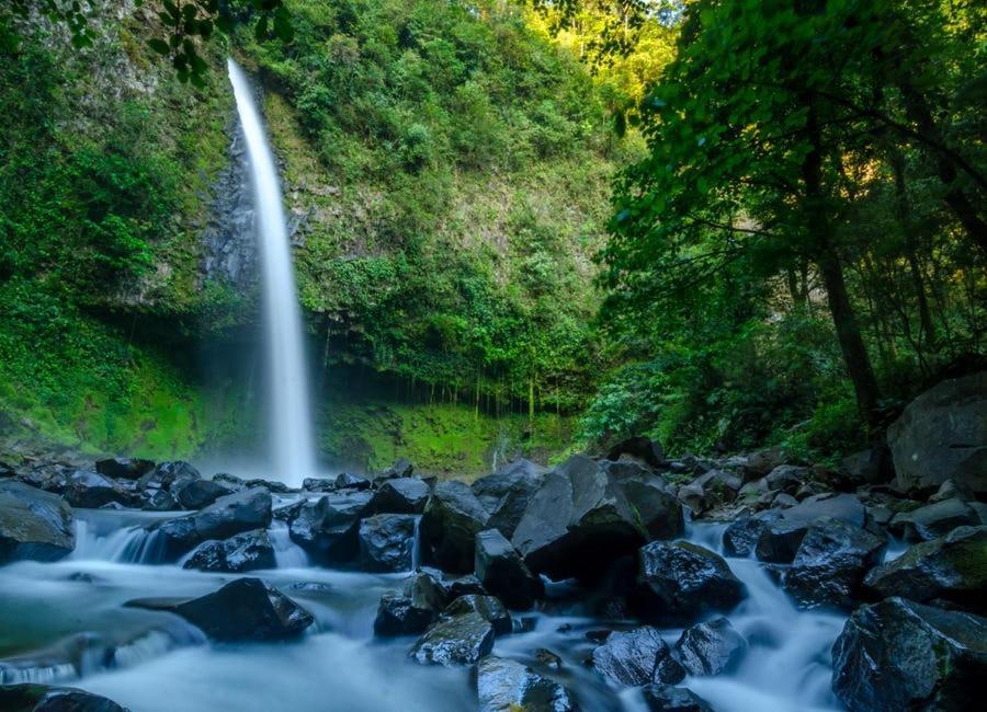 Tiny Villa Experience La Fortuna Zewnętrze zdjęcie